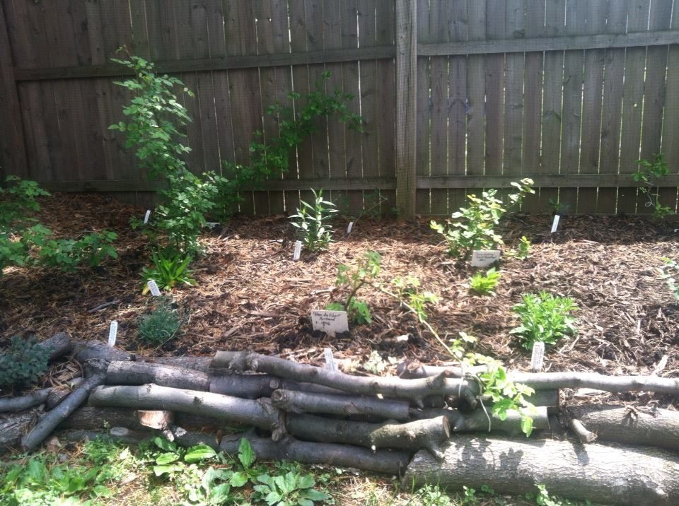 photo 10297826_10152103587197285_1458981605892897228_n.jpg